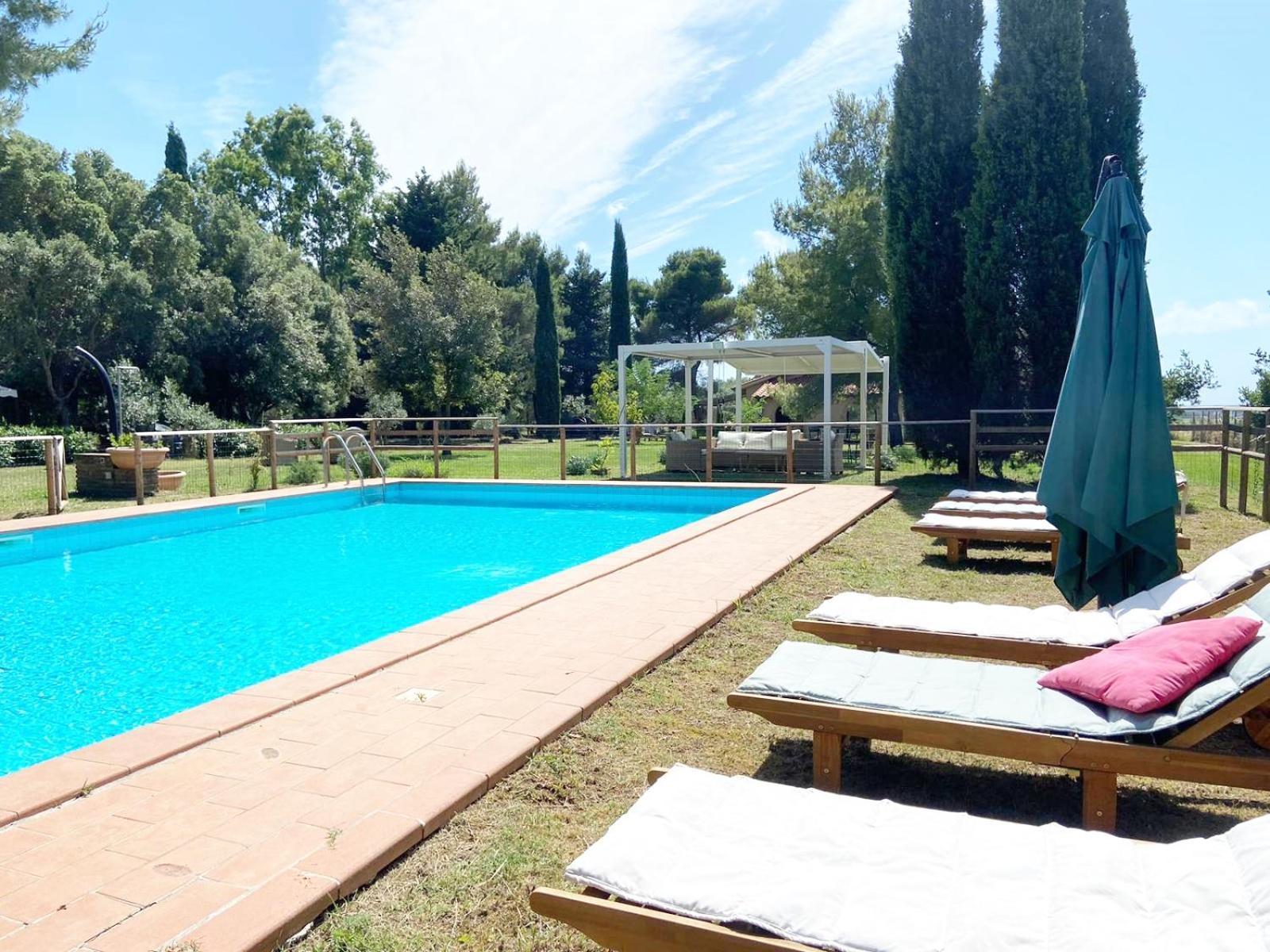 דירות צ'צ'ינה Relais Casale Il Poggetto - Olivo 2 By Zoom In Earth מראה חיצוני תמונה